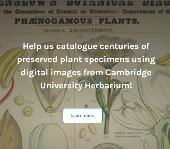 Digitise the Cambridge University Herbarium