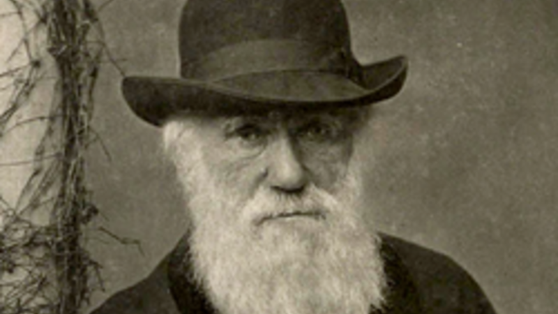 Portrait of Charles Darwin