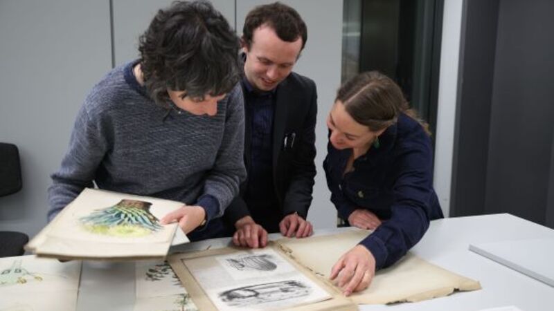 Herbarium staff with specimens collected by Charles Darwin