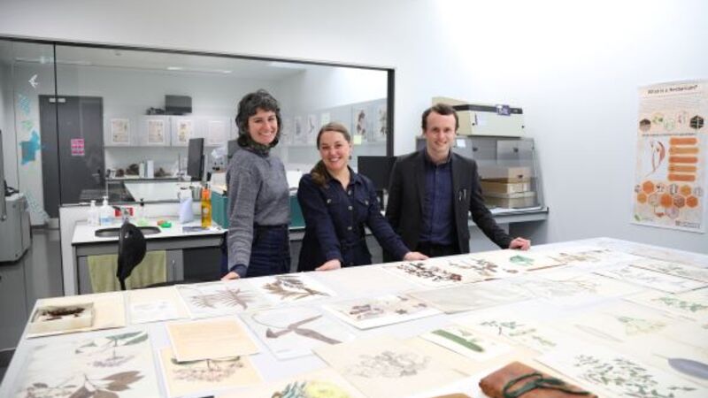 Herbarium staff with specimens collected by Charles Darwin