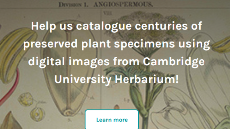 Digitise the Cambridge University Herbarium