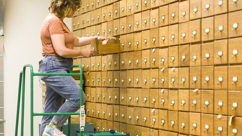Staff member working in collection