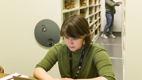 Staff members working in collection