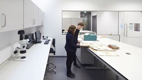 Staff working in Herbarium