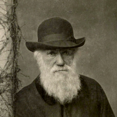 Portrait of Charles Darwin