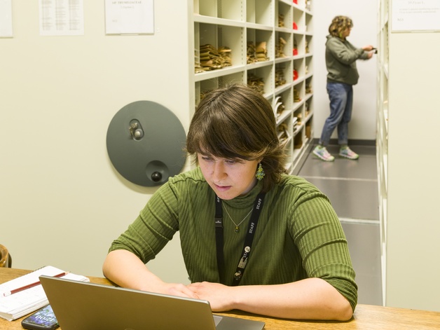 Staff members working in collection
