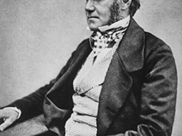 Portrait of Charles Darwin