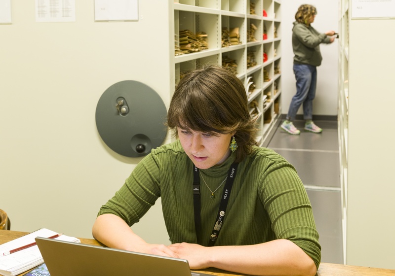 Staff members working in collection