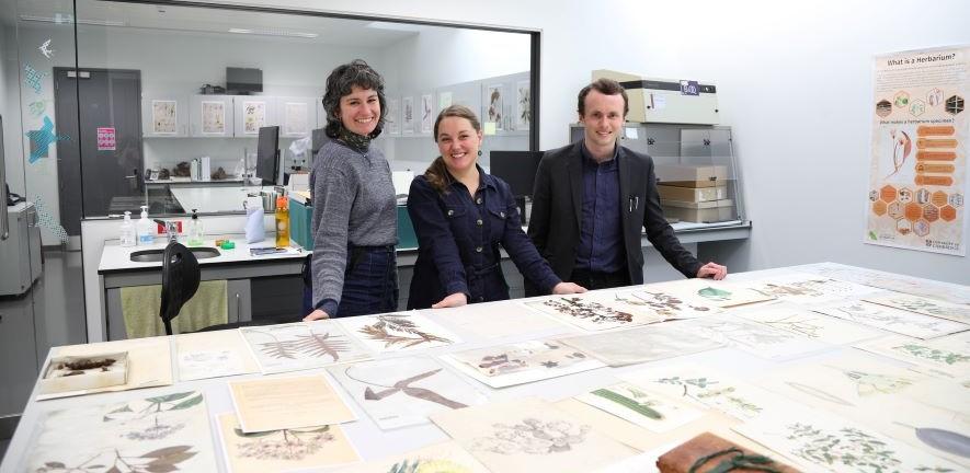 Herbarium staff with specimens