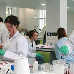 Students working in lab