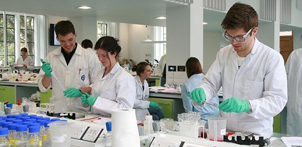 Department of Plant Sciences Students working in lab