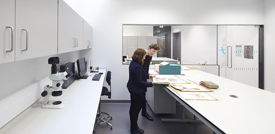 Researcher working with herbarium specimens
