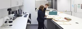 Staff working in Herbarium